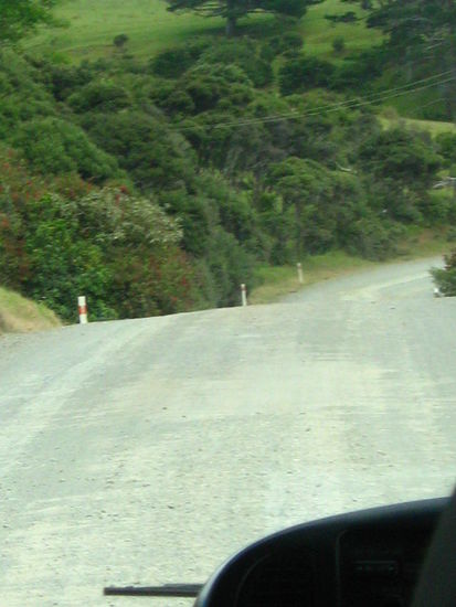Das ist der State Highway No 1...also nur das ihr mal so ne Vorstellung von den Verkehrsverhaeltnissen hier habt!