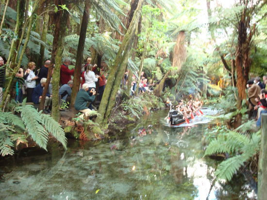 Sexy Maoriboys im Boot...leider gefilmt anstatt Fotos, also Pech fuer euch. Wie ihr seht ziemlich touristisch das ganze...