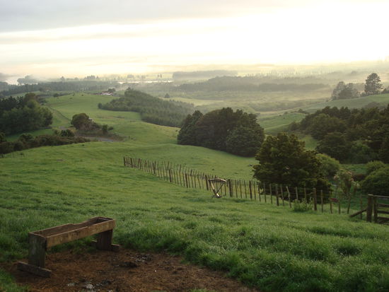 Shekinah: 6 Uhr morgens