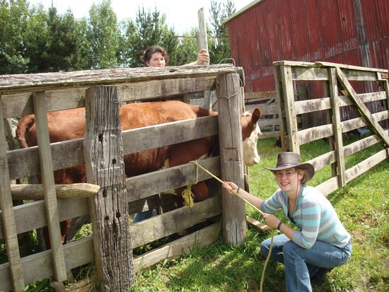 Wir missbrauchen die Kuh fuer ein paar Fotos - zwischendurch haben wir sie dann auch verarztet, nachdem wir sie erfolgreich mit den Hunden hier rein gejagt haben!
