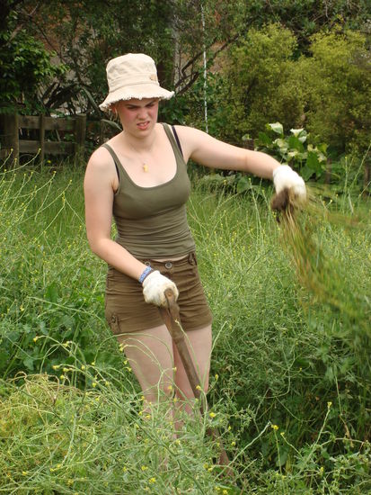 eine halbe Stunde spaeter siehts dann so aus