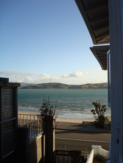 Unsere Zimmeraussicht im Hostel Moana Lodge kurz vor Wellington - das beste Hostel, dass ich in meiner ganzen Zeit angetroffen habe!