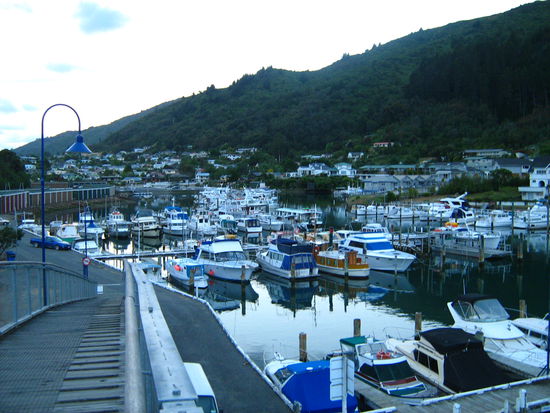 Beim abendliche Spaziergang durch Picton, komm ich mir vor wie in dem verschlafenen Hafen in Fluch der Karibik...hier scheint einfach die Zeit stillzustehn!