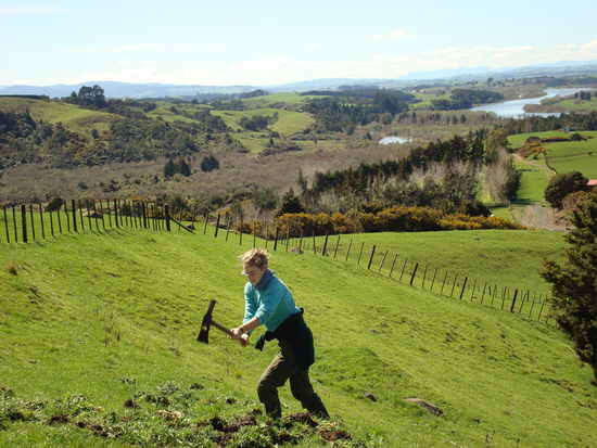 Nur so als Beweisfoto: Mir schaffen hier uch wat!