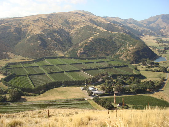 Und so sieht unser Arbeitsplatz aus...