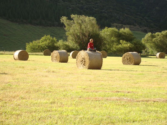 Ich hab meine Liebe fuer Rundballen entdeckt, denn wo die sind, da fuehl ich mich zu Hause!