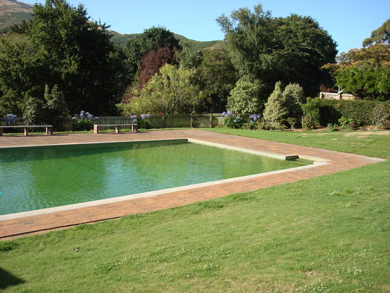 und der Pool des Plantagenbesitzers Dave somit immer verlockender...