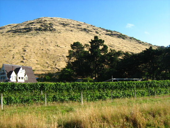 DA OBEN WAREN WIR - HA, STOLZ!