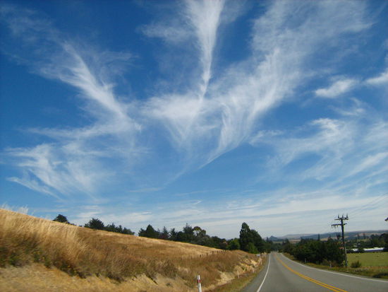Am naechsten Tag weiter in den Sueden...hier finden wir nun auch die Getreidefelder, die wir bis jetzt noch nicht in Neuseeland gefunden hatten...