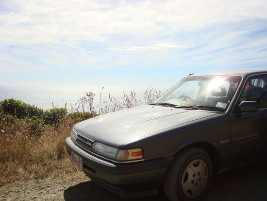 Ueber die Southern Scenic road kommen wir schliesslich am suedlichsten Punkt, dem Nugget Point an...