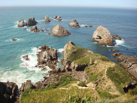 Ein paar Robben haben wir auch gesehn, doch ziemlich weit weg...Fotos zu verpixelt...