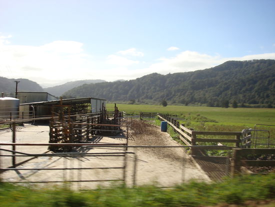 eine dairy Farm (Milchkuhfarm), die wo wir gearbeitet hatten war zwar groesser, aber das Prinzip is ueberall gleich...hier wird ma net angezeigt, wenn die Kueh im Winter net im Stall sin, denn sowat gibt et hier net...un kalt wird et hier uch...typisch deutschland eben...