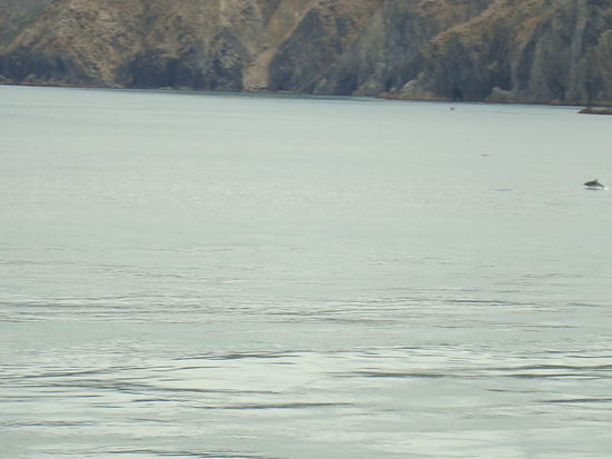 da oben rechts is einer...Fotos machen war leider schwer...