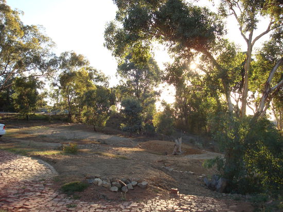 und der Garten in dessen Weiterentwicklung er sehr viel Zeit investiert...