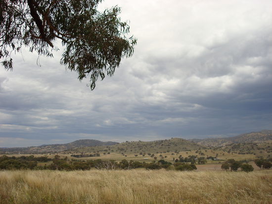 Australien - ich liebe es!