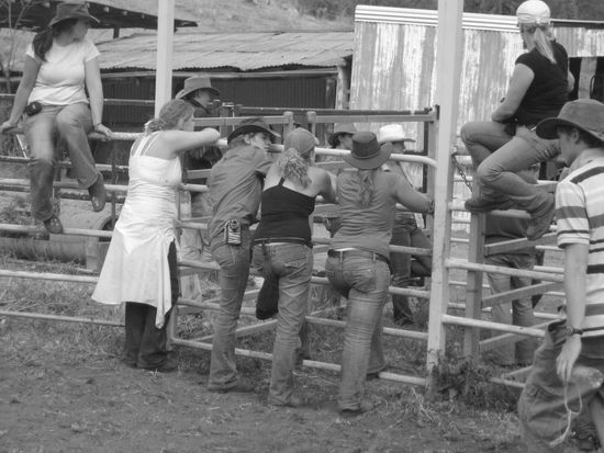 machen ein super Cowgirlteam mit einem Heidenspaß!