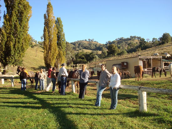 erste Tuchfühlung mit den Pferden