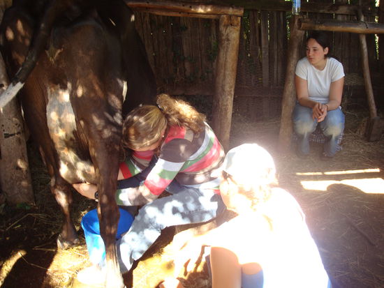 bei der Melkstunde musst ich ja net so aufpassen...