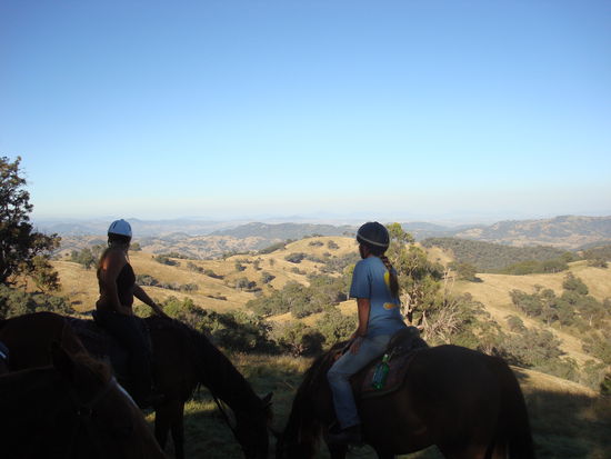 Rauf aufs Pferd und los gehts...da wir net viel erkärt...