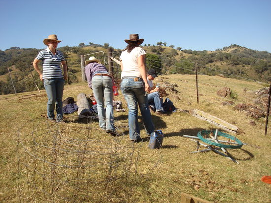 Die Frauen lassen die MöchtegernFarmer mal machen, hier will plötzlich jeder Typ seine Männlichkeit unter Beweis stellen - wir lassen die primitiven Urgestalten mal werkeln und spielen geduldige Assistentin beim dem verzweifelten Versuch der Selbstbestätigung...