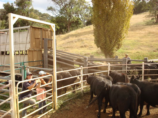 dann geht's schließlich rein in den Truck...
