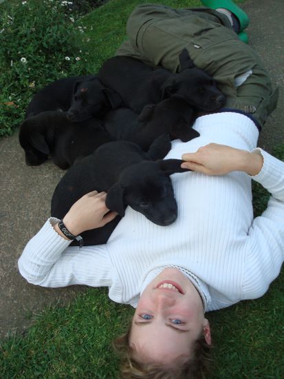 Ich mit den 5 Welpen...relaxen nach einem anstrengenden 1000-Kuehe-Melktag