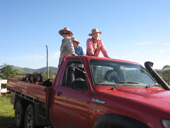 die Mädels auf dem ute