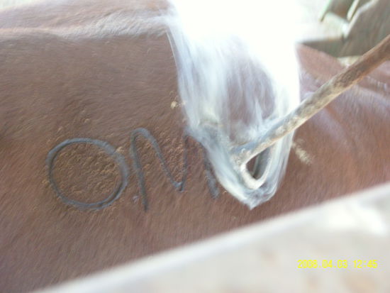 schönes Brandzeichen