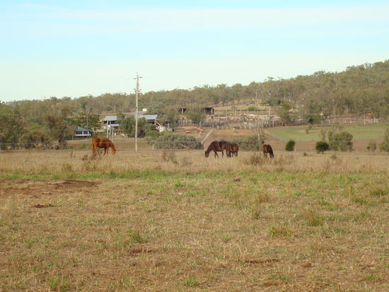 Haus, Schuppen und Yards von der Bullenwiese aus