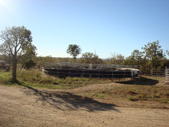 der "walker" (Führmaschine für die Pferde)