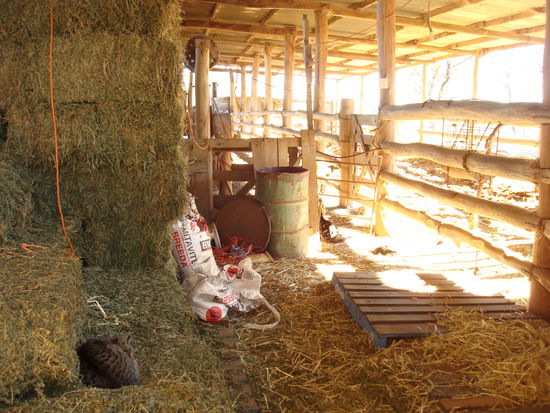 ein anderer Schuppen...