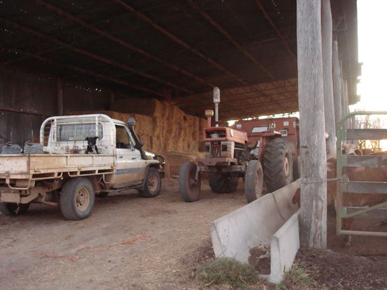 wieder ein anderer Schuppen, oberhalb der Yards