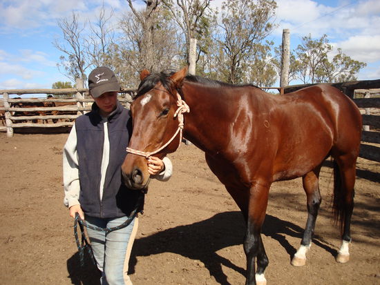 der große Hoffnungsträger - zukünftiger Race-Champion!