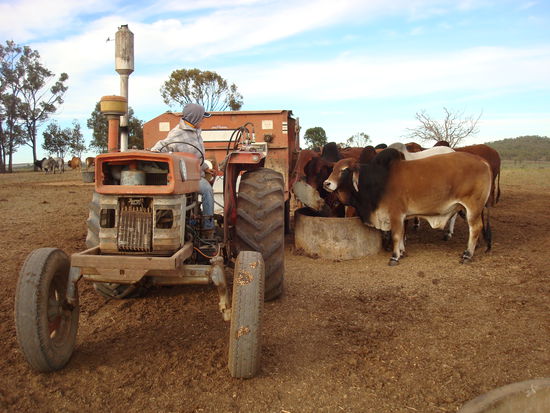 das Museumsstück - man sieht, ich bin warm angezogen - gegen Ende meiner Zeit gab's morgens nur ein paar Grad, mittags gings dann durchaus wieder auf 25 Grad hoch...