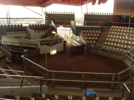 Hier in Rockhampton werden die Bullen dann einmal im Jahr auf der größten Bullenauktion Australiens verkauft.