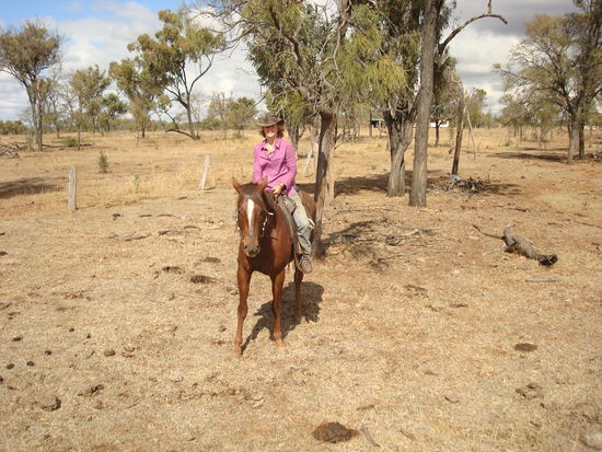 Ich auf Tiger (dem "bravsten Hengst")