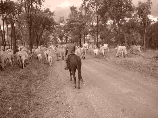 Ich beim Mustering - leider falsche Fotoeinstellung - gibts nur in schwarz/weiß diese Bilder - schade, denn die Sonne war grad am untergehn und die Farben hammergeil 