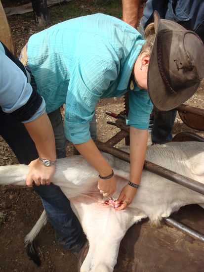 Keine Chance Junge, schnippschnappab! - auch wenn's a bisserl länger dauert!