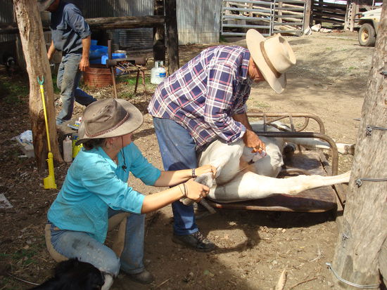 Mick macht dann doch lieber weiter...