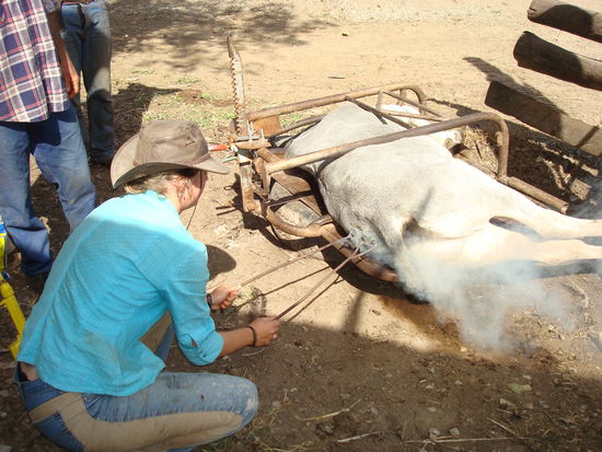 Brandzeichen muss auch noch drauf