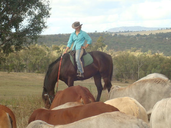 Pause für Cashews...