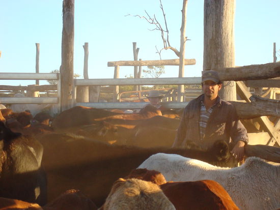 Drafting (Aussortieren)