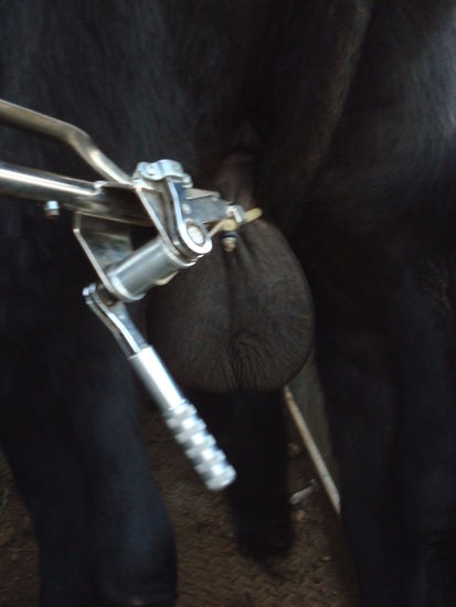 Da kommt doch Freude auf 