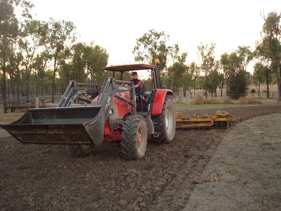 Ja auf em Traktor kennt ma mich ja...