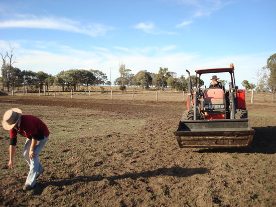 Stein räffen - in Australien genauso scheiße wie daheim!