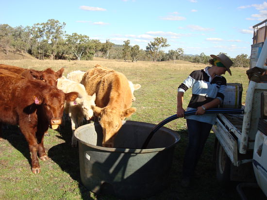 cattlecreek im Hintergrund (übrigens: so sah's hier nach dem Regen aus...)