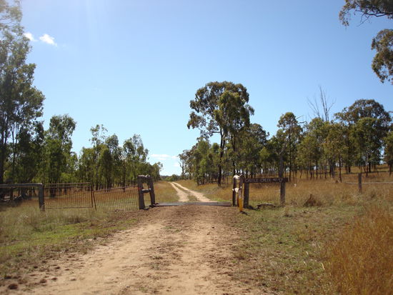 Die Cattlecreek - Einfahrt