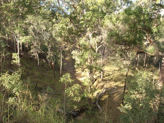 für mich wie ein Paradies - wie bei dem Film die Legende...