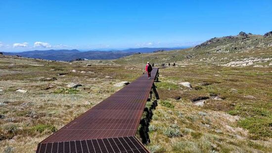 Da geht es lang! Mount Kosciuszko Summit Walk 13 km