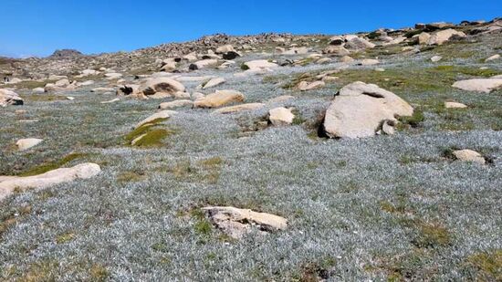 Hin und zurück in 5 Stunden